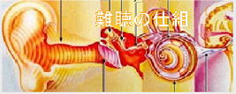 難聴の仕組みへのご案内