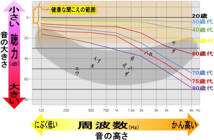 加齢による低下具合